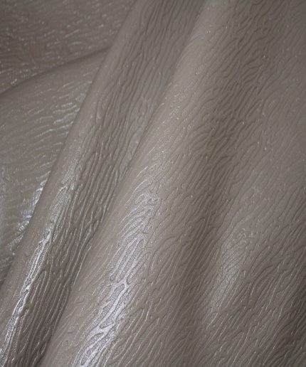 ریپل گاوی ویزون