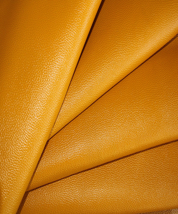 فلوتر بزی زرد 1