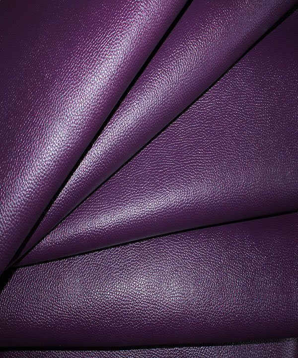 فلوتر گاوی بنفش