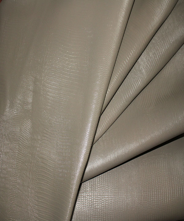 لیزارد بزی ویزون