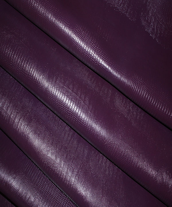 لیزارد گاوی بنفش1