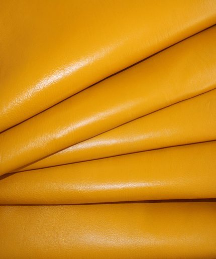 ناپا بزی زرد خردلی