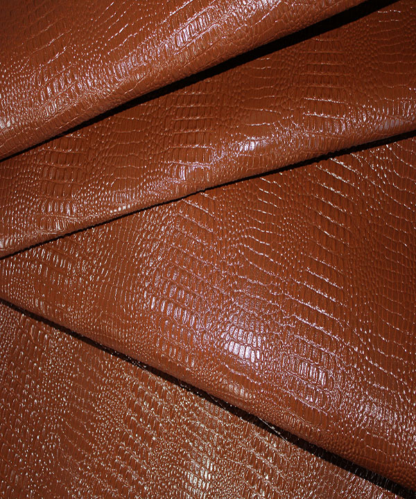 کروکودیل بزی عسلی2