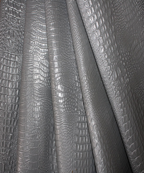 کروکودیل گاوی طوسی2