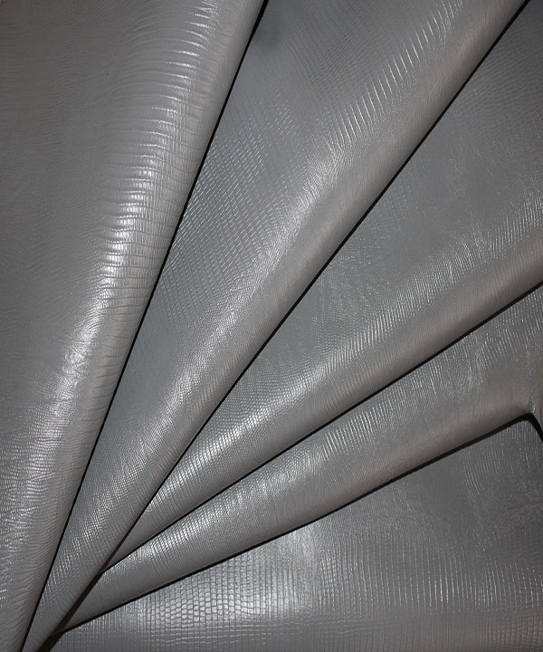 لیزارد گاوی طوسی1