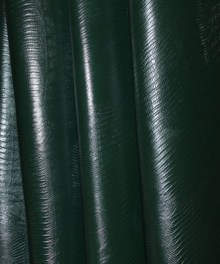 لیزارد گاوی سبز یشمی