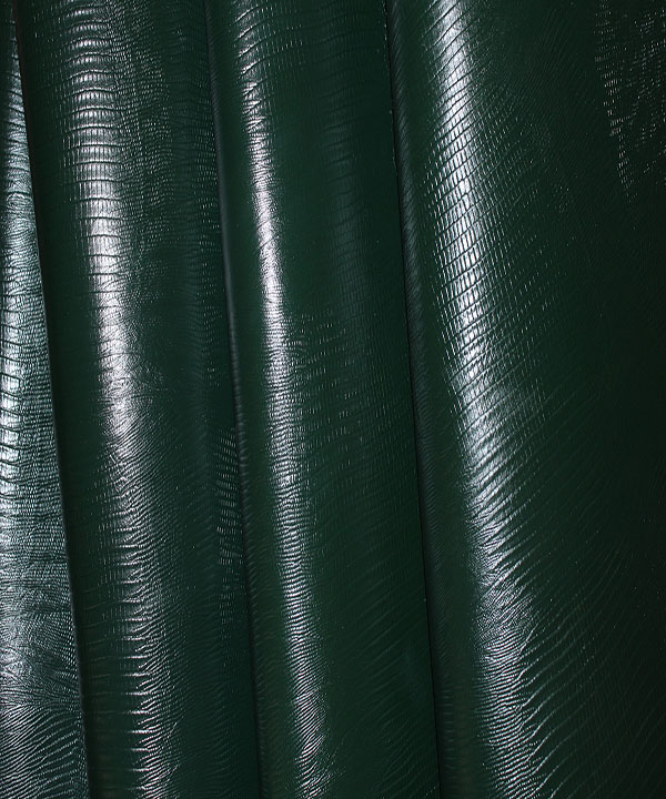 لیزاردگاوی سبز یشمی2