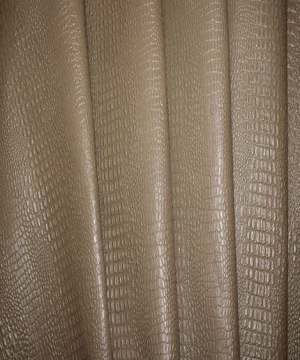 کروکودیل بزی ویزون