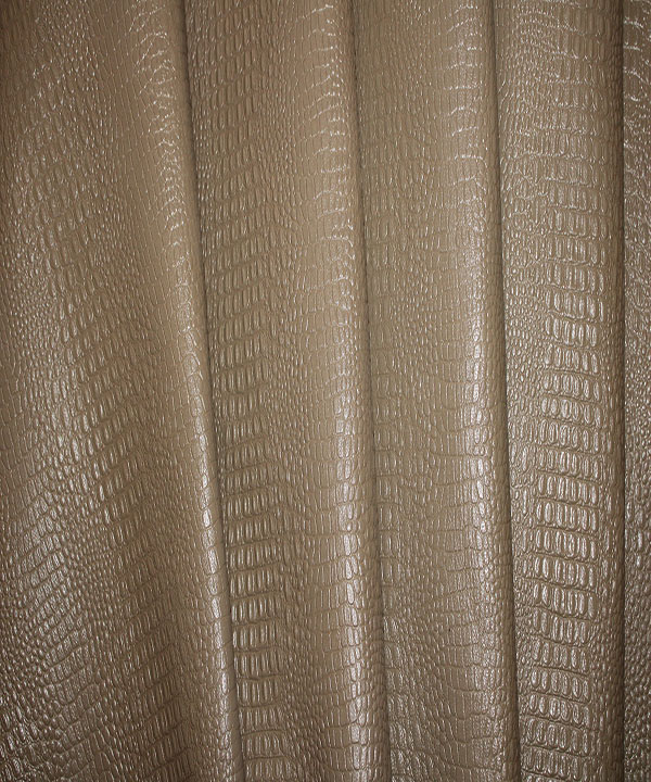 کروکودیل بزی ویزون