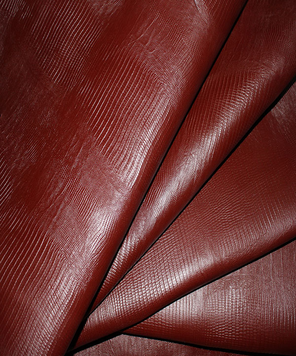 لیزارد بزی سماقی