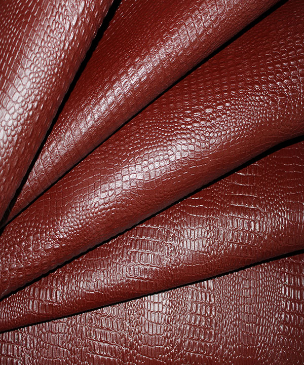 کروکودیل بزی سماقی