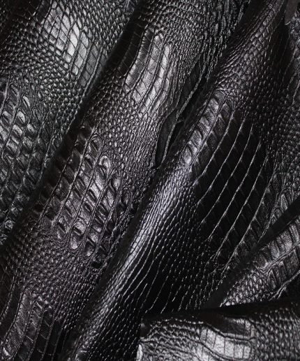 ماکرو کروکودیل بزی مشکی