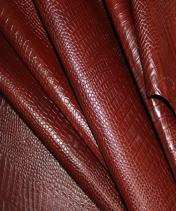 20231003131936_IMG_9506-1