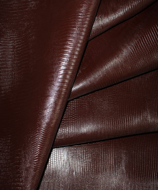 لیزارد اشبالت قهوه ای 2