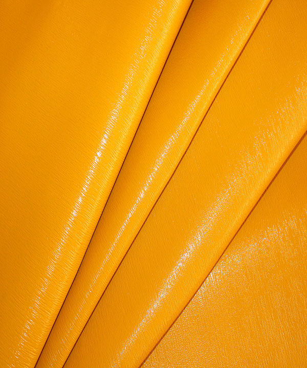 هرمس بزی زرد 2